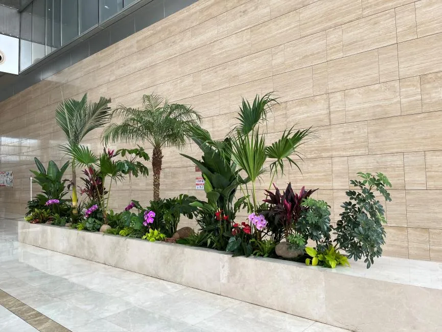 宁波奉化植物租摆公司，打造独特室内植物景观！